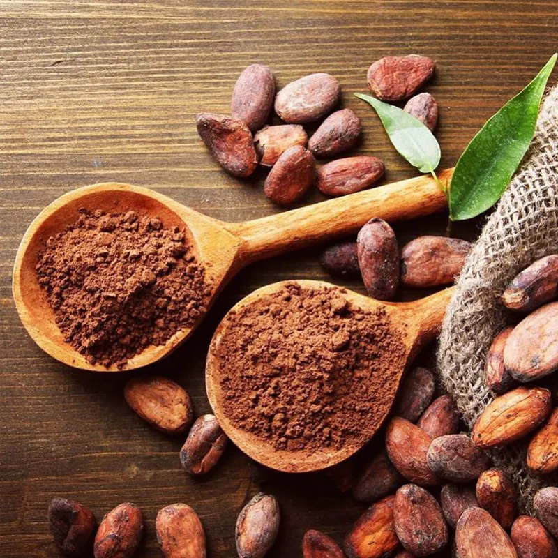 купить какао порошок для кондитерской промышленности Усть-Каменогорск