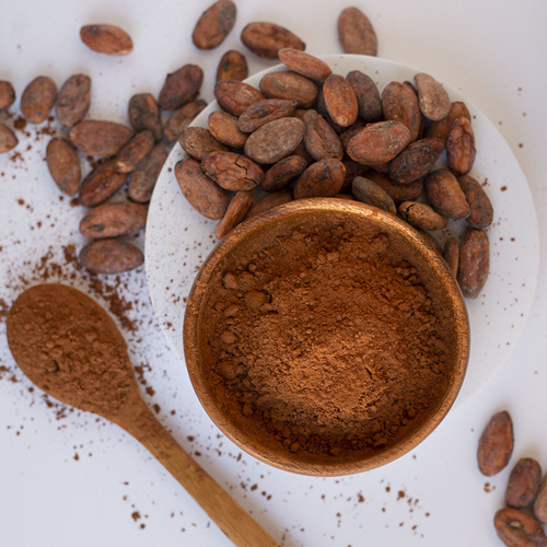 порошок какао алкализованный для кондитерских фабрик Нижний Новгород 