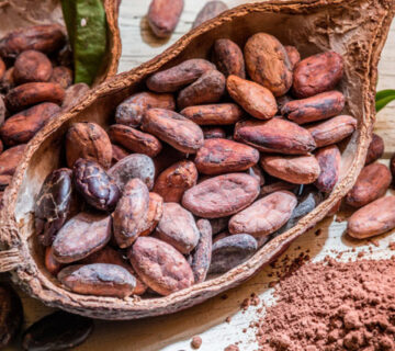 поставка какао порошка для шоколадных заводов Шымкент