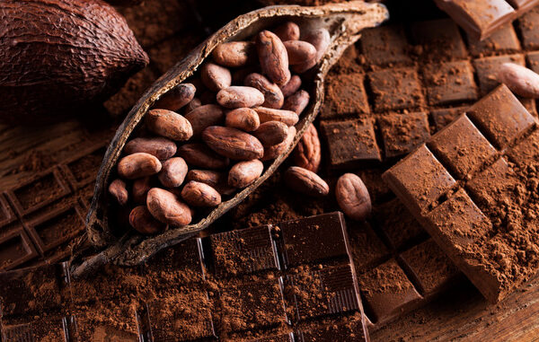 Импортер масла CBS для шоколада