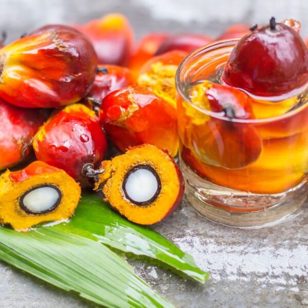 Импортер хлопкового масла