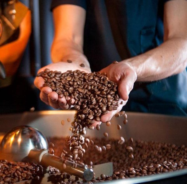 Поставка кофе для обжарки в больших объемах