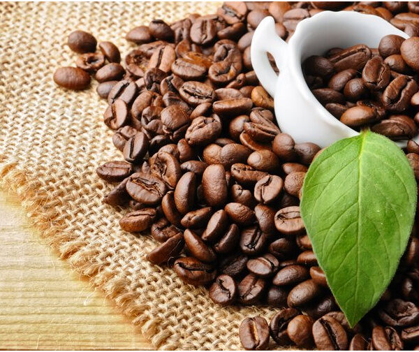 Поставщик индийского кофе робуста