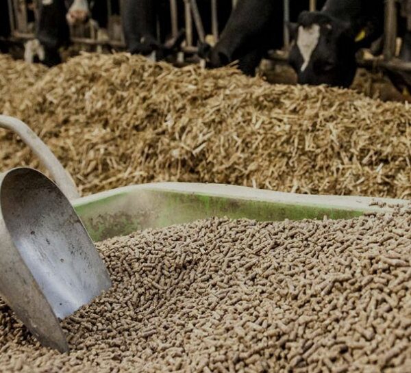 Премикс витаминно-минеральный 2.5% кормовой сорт