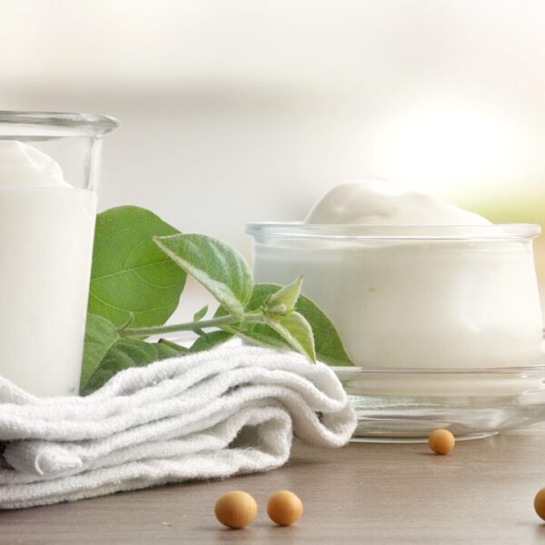 Пробиотик Lactobacillus acidophilus 1x10^9 КОЕ/г кормовой сорт