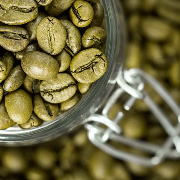 Зелёный кофе Индонезия оптом