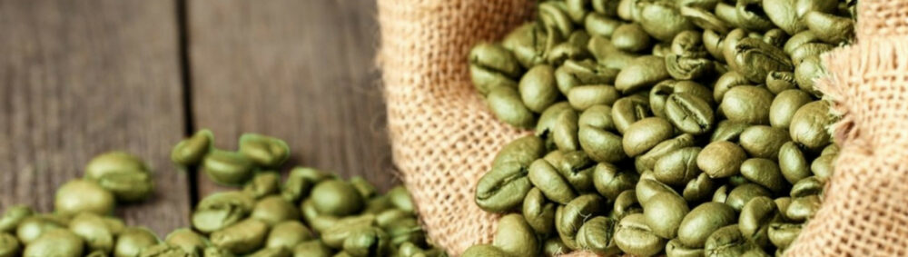 Оптовые закупки зелёного кофе