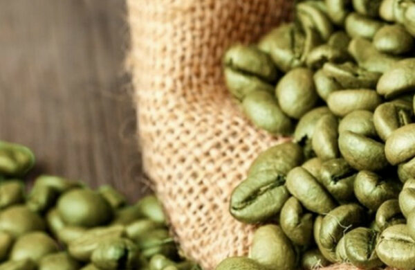 Оптовые закупки зелёного кофе