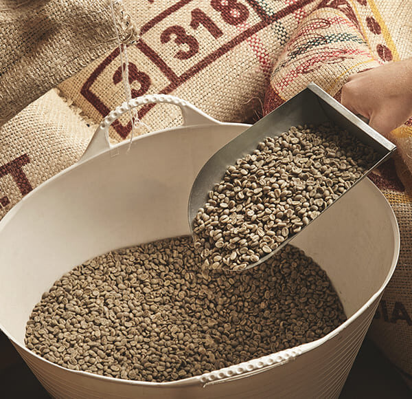 Продажа зелёного кофе для обжарщиков