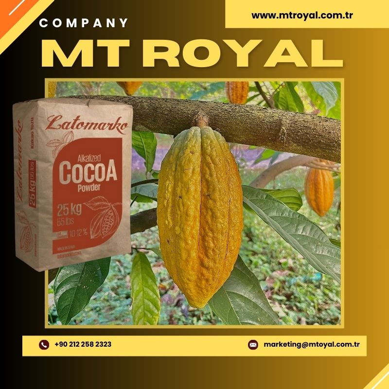 Какао-порошок алкализованный Latamarko Türkiye LM 60