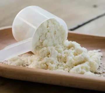 Концентрат сывороточного белка оптом — лучшее решение для фабрик