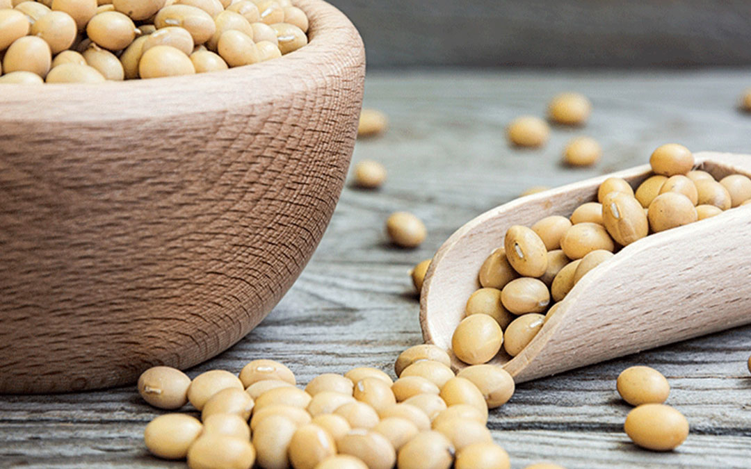 Лецитин для стабилизации кремов и начинок