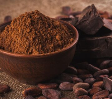 какао порошок для изготовления шоколада купить