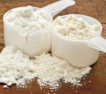 пищевая лактоза для производства СПб