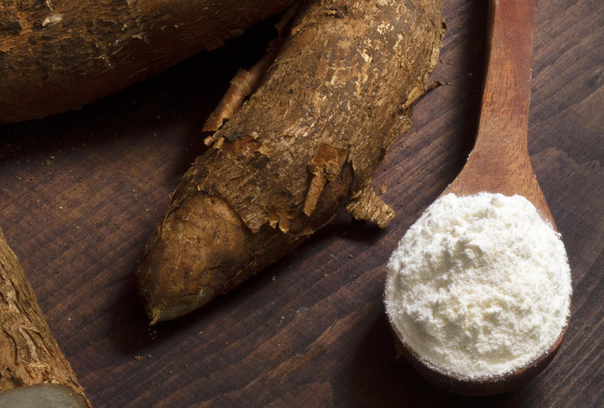 поставщик лактозы для пищевых фабрик Москва