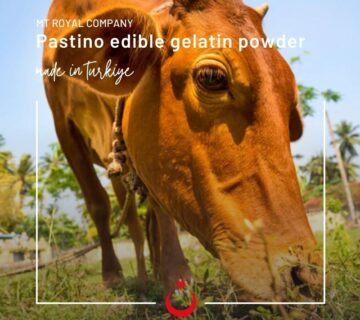 Поставщик халяльного желатина в порошке