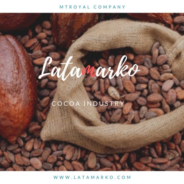KALİTELİ KURUTULMUŞ KAKAO ÇEKİRDEĞİ