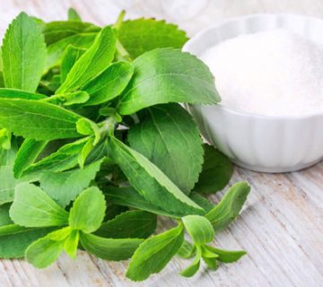 Stevia