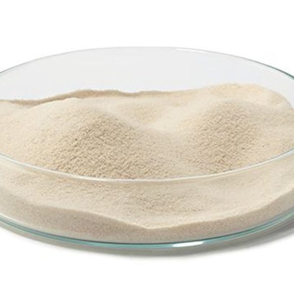 Agar Agar