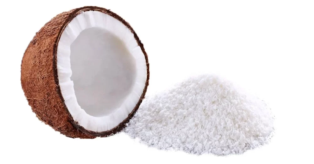 Hindistan Ceviz Kuru ve Yağsız