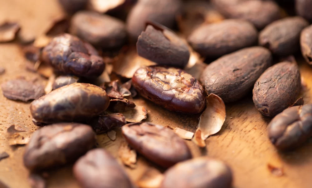 Kakao Fasulyesi Cargill