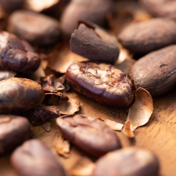 Kakao Fasulyesi Cargill