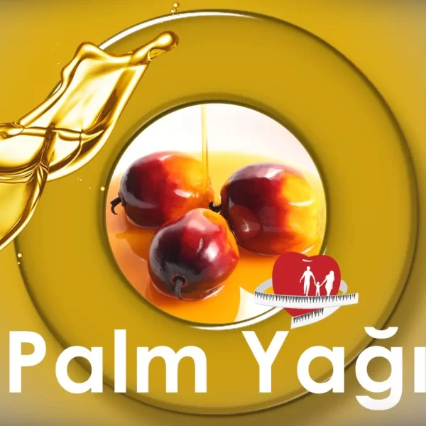 Palm Yağı