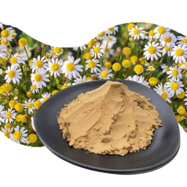 Papatya Ekstresi - Apigenin