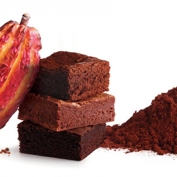 Barry Callebaut Bensdorp Red Kakao Tozu Kırmızı alkali – üretici, sertifikalı ürün