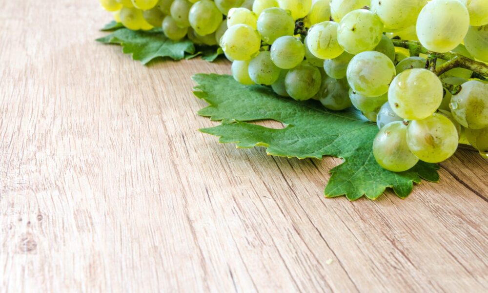 E472b – Süksinat türevleri