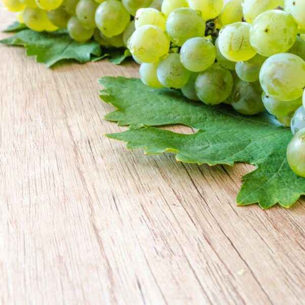 E472b – Süksinat türevleri