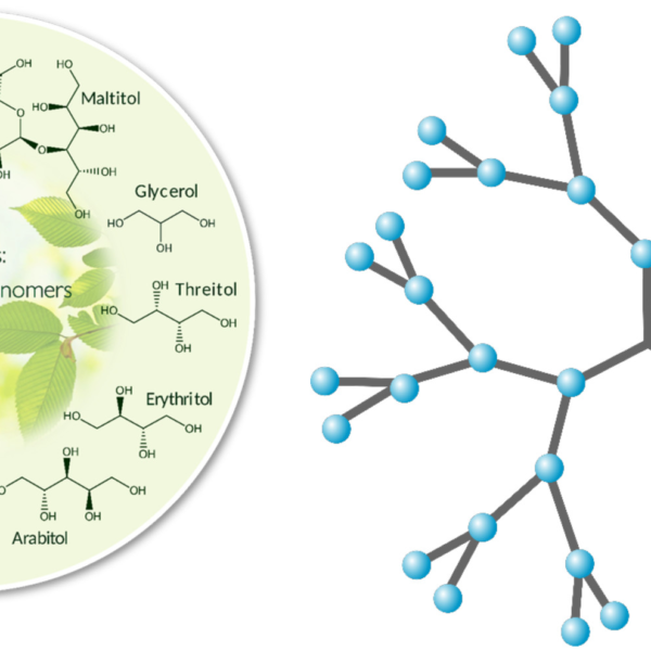 Sorbitol + Maltitol Karışımı