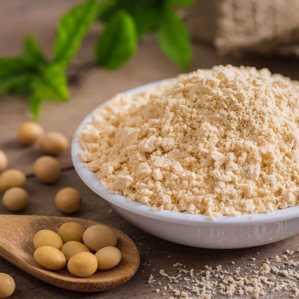 Soya Unu Bazlı Protein – tedarikçi MT Royal, endüstriyel üreticiler için kaliteli, uygun fiyatlı ve sürdürülebilir protein kaynağı sunar.