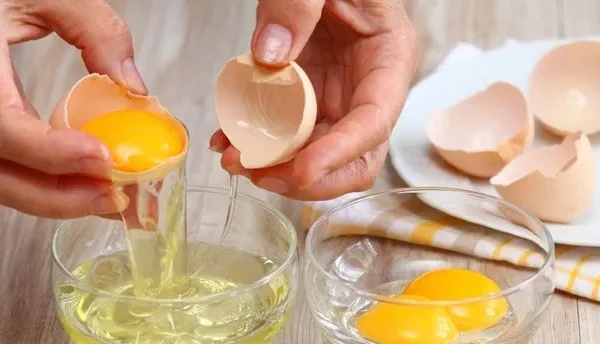 Yumurta Beyazı Proteini – tedarikçi