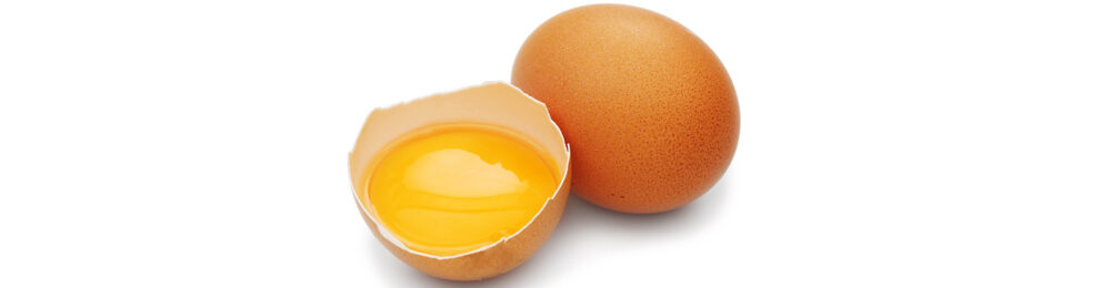 Pastörize Yumurta Proteini – tedarikçi