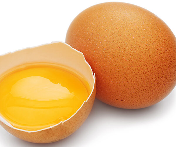 Pastörize Yumurta Proteini – tedarikçi