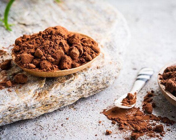 Bensdorp Wyncote Kakao Tozu