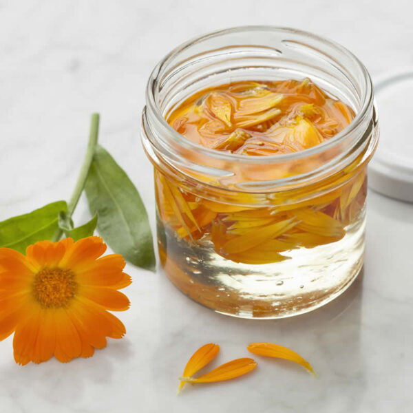 E161b – Lutein – toptan satış