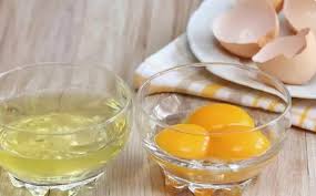 Hızlı Çözünür Yumurta Beyazı – tedarikçi