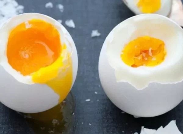 Hızlı Köpüren Yumurta Proteini – tedarikçi