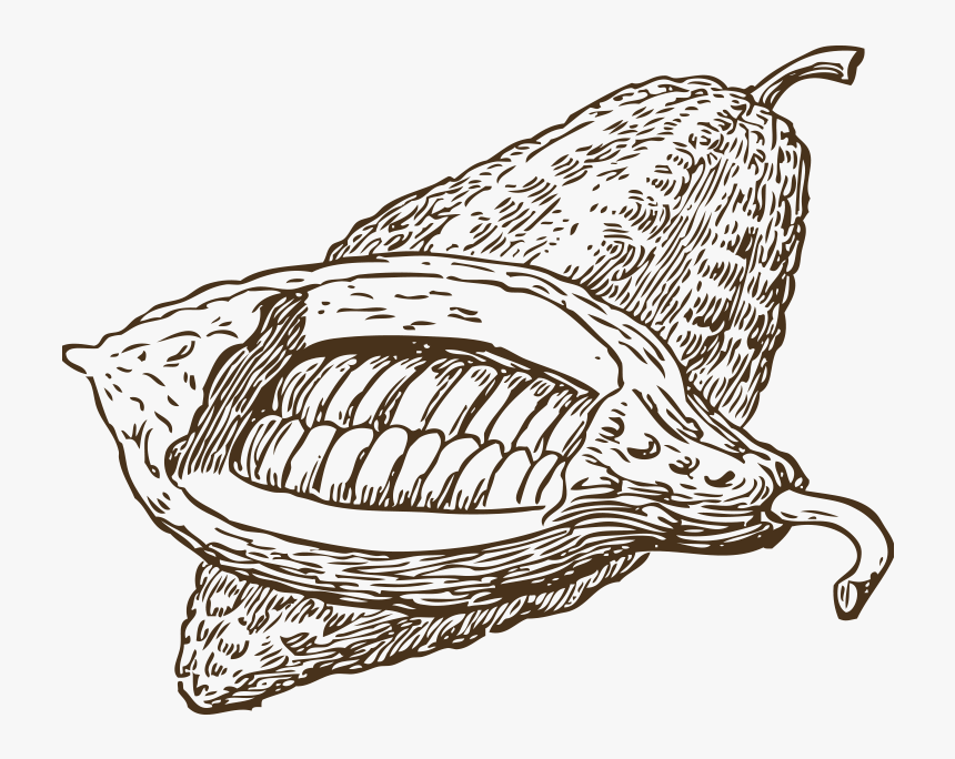 Toptan Kakao Likörü Tedariki