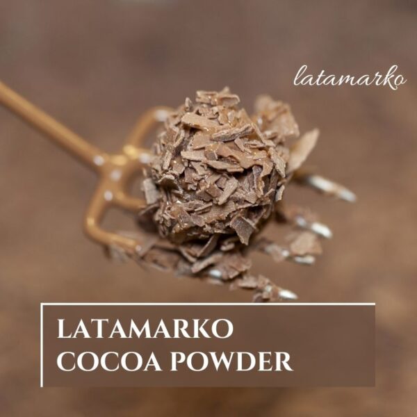 gıda sanayi kakao ürünleri